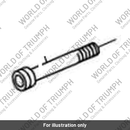 Bolt (T3330730)
