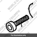 Bolt (T3330815)