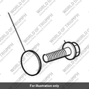 Bolt, Skt Hd, M8 x 20, Enc (T3330816)