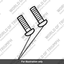 Screw, Pan/Hd, TX, M5 x 16, Slv (T3330842)
