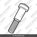 Bolt, Shouldered, M10 x 1.25 x 53.1 (T3330867)