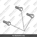 Bolt, RHHF, M5 x 0.8 x 12, S5041 (T3330891)