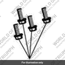 Bolt, RHHF, M5 x 15, S5041 (T3330892)