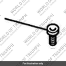 Screw, Tpt Tx, P/HD, M6x12, Slv (T3331039)