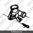 Bolt, HHF, M6 X 25, S/S (T3331102)
