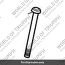 Screw, PH, TX, M6 x 88, Slv (T3331300)