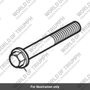 Screw, Pan/Hd, Tx, M6 x 35 (T3331499)