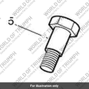 Bolt, Shouldered, M10 x 1.25 (T3331511)
