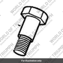 Bolt, Shld, M10 x 1.25 (T3331515)