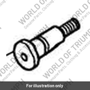 Bolt, Shld, M10 (T3331650)