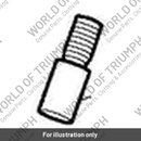 Bolt, Pivot, M10 x 1.25 (T3331722)