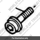 Screw, Tx, Flgd, M10 x 47, Slv (T3331921)