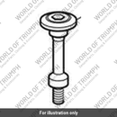 Bolt, Lge, Skt HD, Shld, M6 x 50.5 (T3332061)