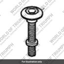 Bolt, Lge Skt HD, Shld, M6x42.5 (T3332066)