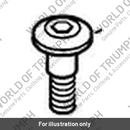 Kit, Bolt, SKT HD, SHLD, M6 (T3332085)