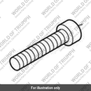 Cap Head Screw, M10 x 50 (T3332127)