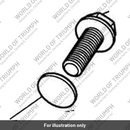 Screw, M10 X 30, Enc (T3332162)