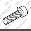 Bolt, Oil Feed, TX, M12 x 40 (T3332370)