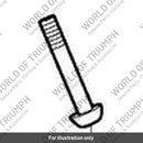 Bolt, Skt/HD, M10, 75LG Enc (T3332545)