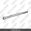 Bolt, Skt Hd, M10, 270LG (T3332548)