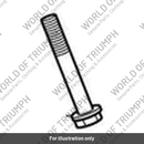 Bolt, Skt/Hd, M10, 75, LG (T3332552)