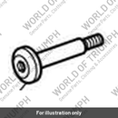 Screw, Pan/HD, Shld, M6 x 65, Slv (T3332578)