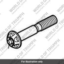 Screw, TX, M12 x 75, Slv (T3332630)