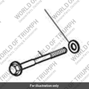 Screw, TX, M12 x 130, Slv (T3332635)