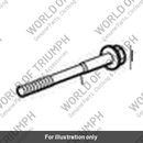 Bolt, TX, M12 x 119, Slv (T3332645)