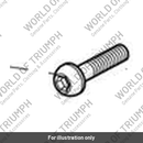 Bolt, TX, M10 x 30 (T3332670)