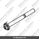 Bolt, TX, M10 x 100 (T3332685)