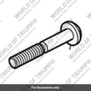 Bolt, TX, M10 x 70 (T3332690)