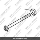 Bolt, TX, M10 x 135 (T3334413)