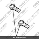 Screw, But/HD, TX, M8 x 25, Enc (T3335018)