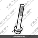 Screw, Pan/Hd, TX, M6 x 105 (T3339001)