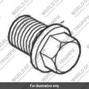 Sump Plug, M14 x 1.5, Blk (T3458989)
