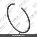 Snap Ring, Int, 59.3 x 1.5 (T3500114)
