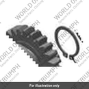 Circlip, Ext 23.2 x 28 x 1.2 (T3500116)