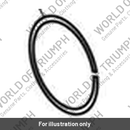 Circlip (T3506200)