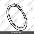 Circlip (T3550296)