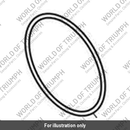 O Ring, ID 91.67 x 3.53 (T3600236)