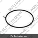 O Ring, ID 57 x 2 (T3600237)