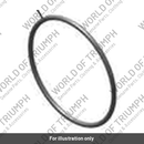 O Ring, ID44 x 2 (T3600271)