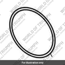 O Ring, ID 98 x 2.5 (T3601284)