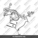 Clip, Harness (T3700239)
