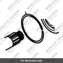 Ring Bearing Retainer (T3800094)