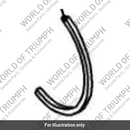 Retaining Ring, Bearing (T3800196)