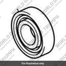Bearing (T3806828)