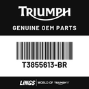 Handbook Assy (T3855613-BR) barcode