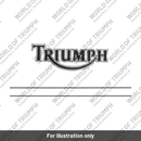 Document Wallet (T3859400)